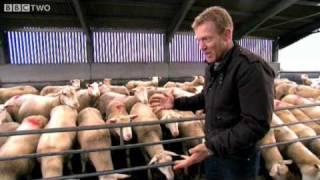 Adam Henson Sheep Bloopers - Lambing Live - BBC