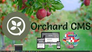 Creating a Custom Theme for Internalization (i18n) Localization (l10n) in Orchard Core