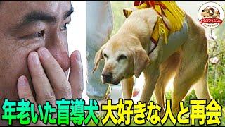 [Tears of joy! The strength of life] The person who gave strength to Mickey, a guide dog who was ...