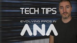 Creating Evolving Pads in ANA 2 Tech Tip