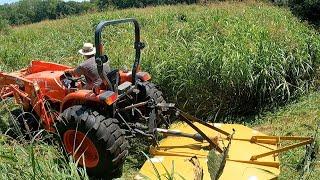 GRASS SO OVERGROWN I Couldn't Use A Regular LAWN MOWER