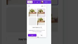 לעצב בקלות! כלי המיזוג בקנבה #canvassador #קנבה #canva #graphicdesigner