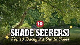 Need Shade? Top 10 Trees Every Shady Backyard Dreams Of!