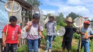 "Vendemos chapulines para ayudar a nuestras mamás "