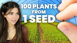 How to Grow 100 Plants from 1 Seed