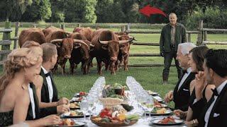 Karen Let Her HOA Friends Picnic on My Farm—So I Released My Bulls!