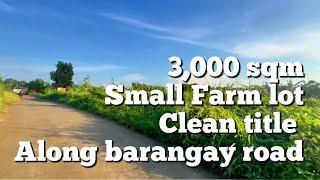 V698-25 small farm lot 3,000 sqm clean title along cemented barangay road nasugbu batangas