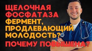 ЩЕЛОЧНАЯ ФОСФАТАЗА / Почему повышена? / Исследования про продолжение жизни