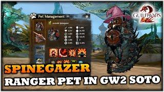 How to Unlock the Spinegazer Ranger Pet in Guild Wars 2 Secrets of the Obscure