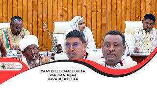 Gaaffii Miseensota Caffee, Yaa'ii Idilee  6ffaa waggaa 3ffaa Bara Hojii 6ffaa, Kutaa 2ffaa Irratti