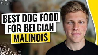 Best Dog Food for Belgian Malinois (2024)