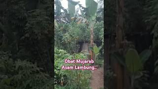 KehidupanKu Setelah Memilih Tinggal Di Perkampungan Terpencil#shorts#shortvideo#short #shortsviral