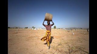 It Will Be Green Again (2018) - Official Short Documentary- UNHCR Camp Minawao