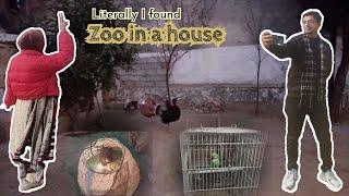 I found a zoo in the house |  | Vlog in Taxila