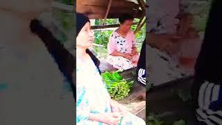 Macan Pemalu, #shortsvideo #feedshorts #fypyoutube #fypシ゚viral #fyp #fy #foryou