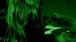 Pagefire - Morbid Osculation of a Decomposed Amphibian Corpse (Music Video)