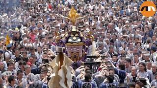 ASAKUSA SANJA MATSURI 2016 | Nippon News Net