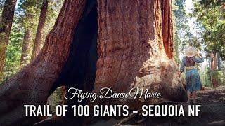 VLOG 101: Trail of 100 Giants (Sequoia National Forest)