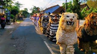 The Best of 2024 || Asmr Lion dance and drumband parade in the village of Pujer