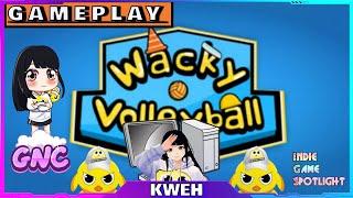 Wacky Volleyball | GAMEPLAY | PC | Indie Game Spotlight