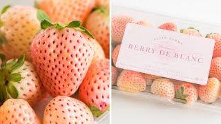 Pineberries, A pink strawberry, pineberry taste test and review.