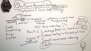 Anaphylaxis: Total Body Allergic Reaction - One Minute Medical School