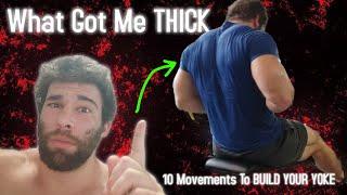 How To Build a THICKER Upper Back (What I did)
