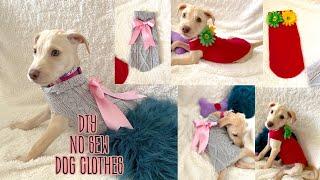 EASY D.I.Y. DOG CLOTHES (NO SEW) / FUR BABY FASHION QUICK AND FAST