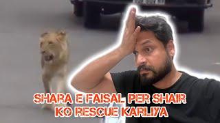 Shara e Faisal Per shair ko rescue karlia! Alhumdollilah