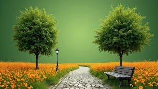 flower garden green screen video | nature background video green screen