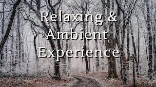 Icy Morning- Reduce stress and anxiety instantly. Low rhythmic music for Focus easy listening.