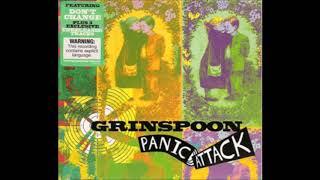 Grinspoon - Don't Change