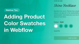 Adding Product Color Swatches in Webflow Ecommerce