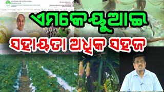 ଆପିକଲ ଜରିଆରେ ସବସିଡି ପ୍ରଦାନ କୋହଳ ହେଲା | Apicol simplifies Subsidy norms for agri entrepreneurs