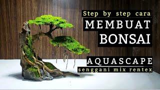 Step by step CARA MEMBUAT BONSAI AQUASCAPE | menggunakan akar senggani mix rentex !!