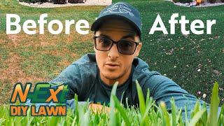 This N-Ext Cocktail Can SAVE Your LAWN!!! // N-Ext™ DIY Lawn Care Tips