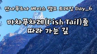 마차푸차레(Fish Tail)를 따라서..., ABC트레킹_Day_6                            #마차푸차레 #피시테일 #ABC트레킹