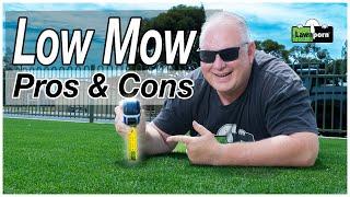 Am I Mowing Too Low? Pros and Cons of the Reel Low Mow.