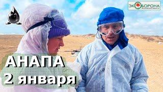 ️Анапа, 2 января. Что происходит? #Анапа