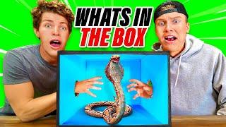 EXTREME What’s In The Box Challenge!