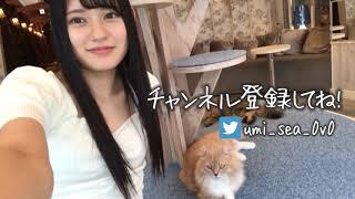 Umi Yatsugake 八掛うみ visits a Fluffy Cat Cafe