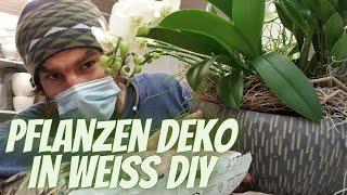 Pflanzenschale in weiss - Floristik DIY Anleitung - Tisch Deko idee zum selber machen Pflanzendeko