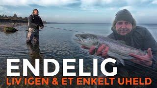 Havørred  Fiskeri  Endelig liv igen & et enkelt uheld