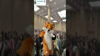 What to Expect at a Furry Convention