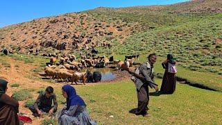 A day of fun for our family in the snowy mountains and stored oil wells of Iran