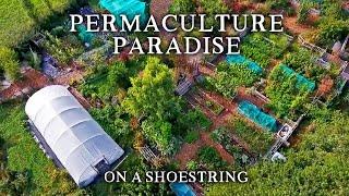 Inspirational Small-Scale Permaculture Homestead | Low Cost Self-Sufficiency on Less Than an Acre