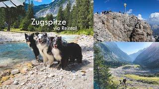 Mit drei Hunden auf die Zugspitze - geht das?! Unsere Tour über das Reintal.