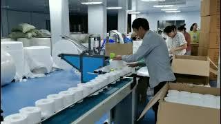 Линия для упаковки в индивидуальные упаковки туалетной бумаги / Toilet paper packaging line