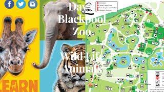 Blackpool Zoo