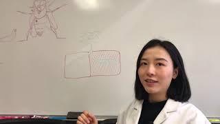 Meet WPI Researchers: Xiling Li